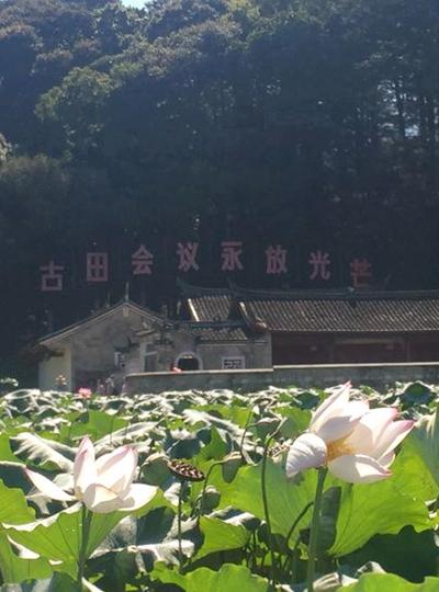 維博人古田會(huì )議旅游學(xué)習